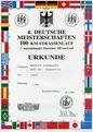 Urkunde DM 100km Straße