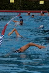 Die Kraulschwimmer...