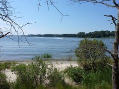 Bay