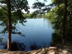 Waldsee