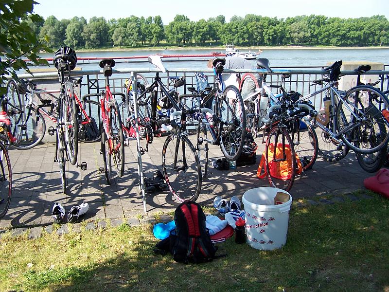 15.JPG - ... mit Blick auf den Rhein