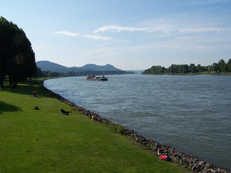 16.JPG - Noch ist alles ruhig, der Schwimmstart ist noch nicht erfolgt