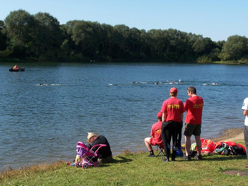13.JPG - Da schwimmen sie