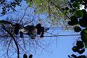 DSC05090
