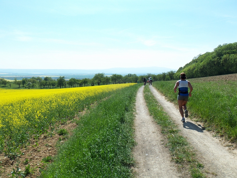 100_0242.jpg - Auf dem Weg nach Ströbeck verlassen wir den Huy