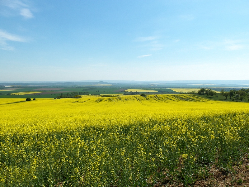 100_0243.jpg - Die Landschaft sieht wunderschön aus