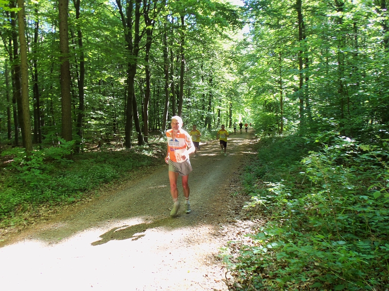 100_0280.jpg - Oben auf dem Huy haben wir schöne schattige Waldwege zum Laufen