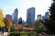 IMG_2011_11_04_2421